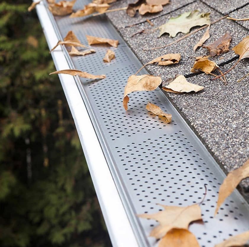 Eavestrough with leafguard