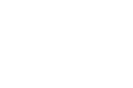 St Laurent declinaison logo